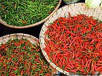 Thai Chillies